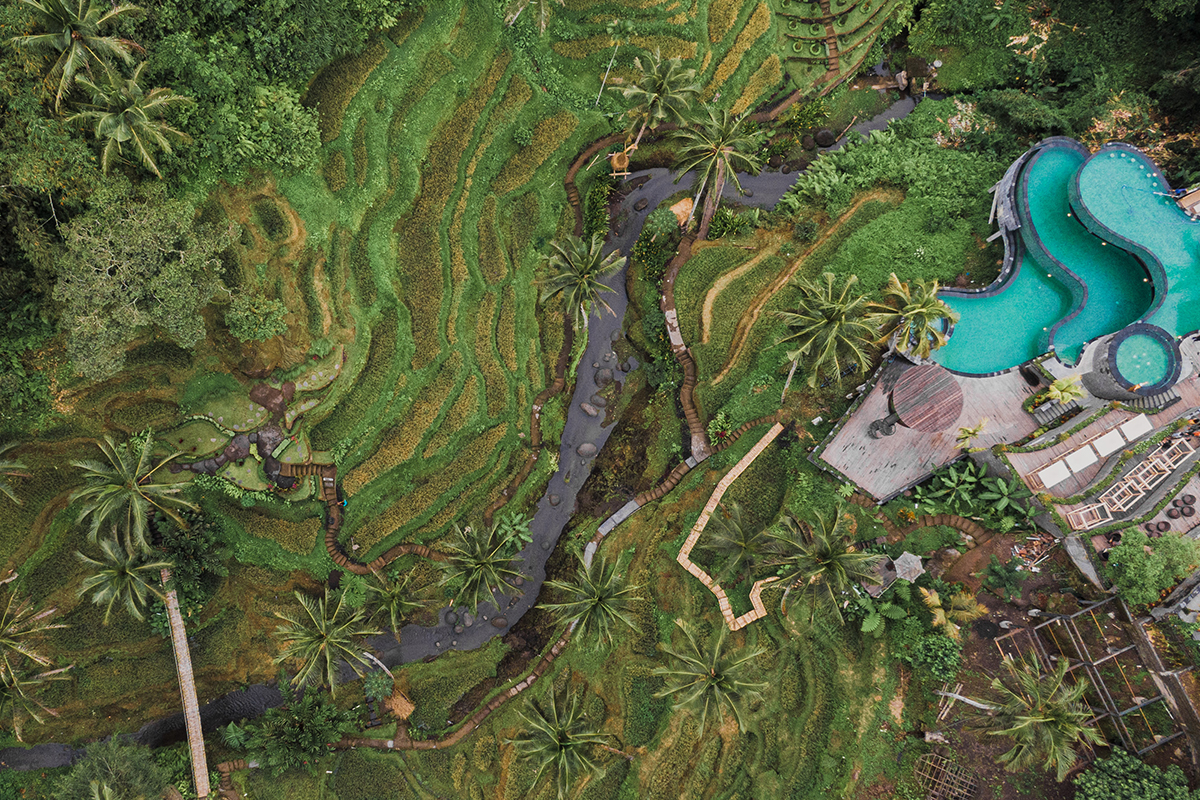 Panorama hijau area Alas Harum Agrotourism