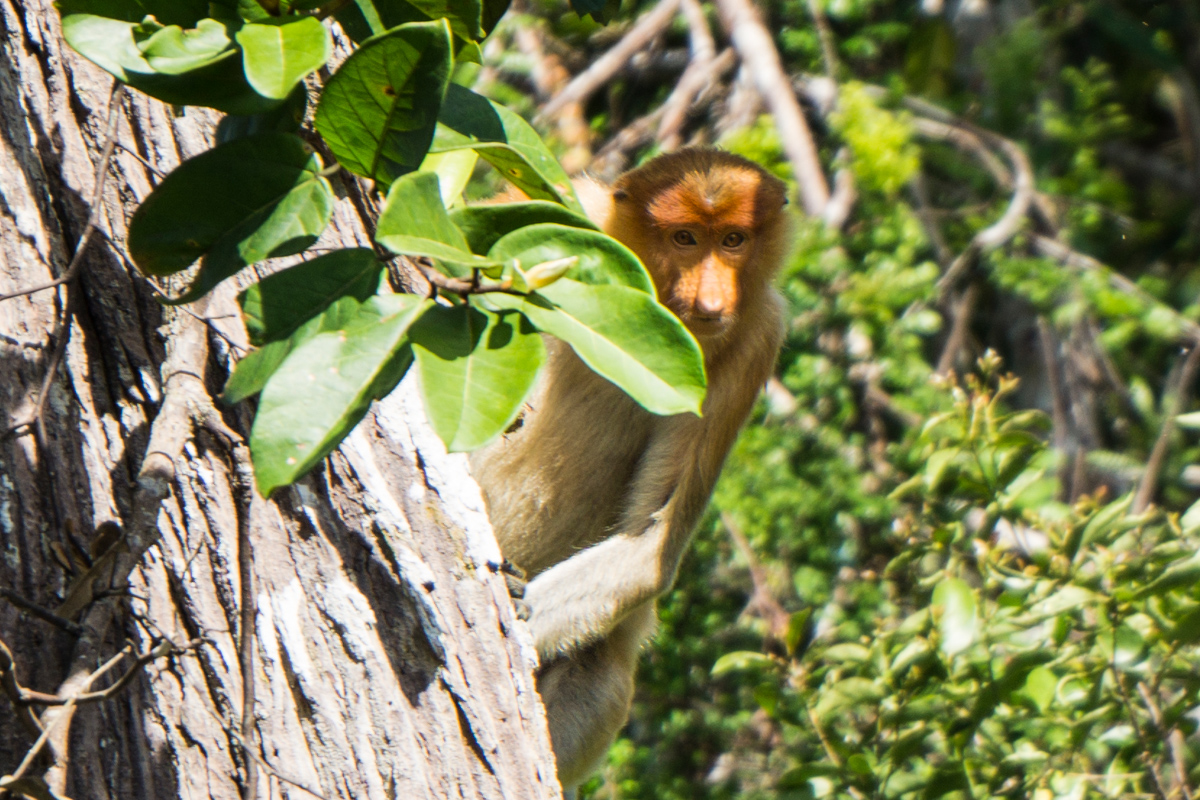 Menyusuri Sungai dengan Perahu Khas Kalimantan Selatan Coba Yuk