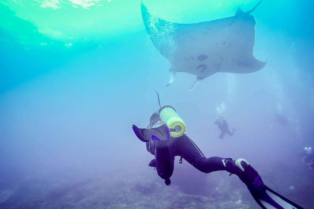 komodo national park