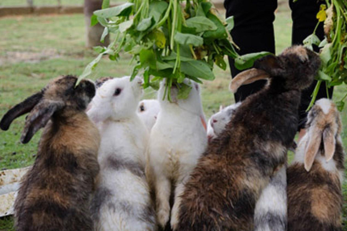 tempat wisata di tangerang