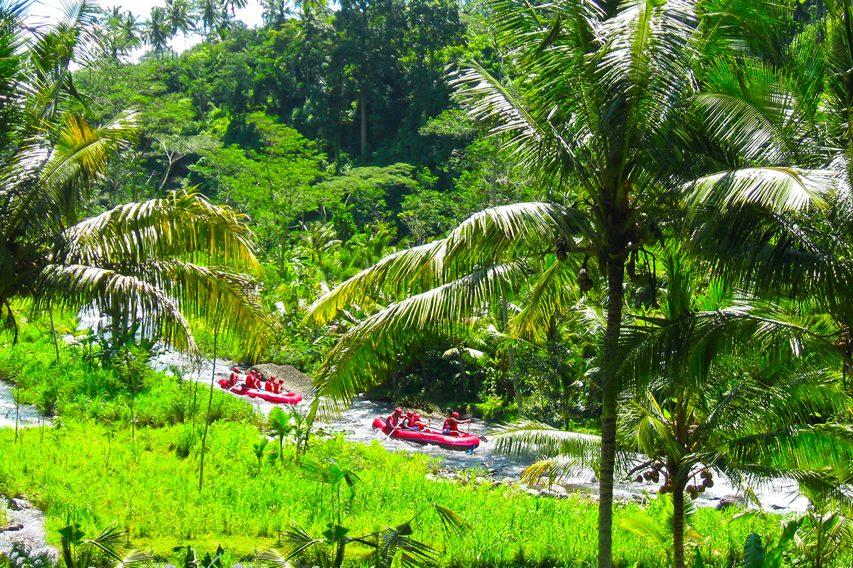 Rafting Sungai Ayung Ubud, Desa Wisata Carangsari Bali