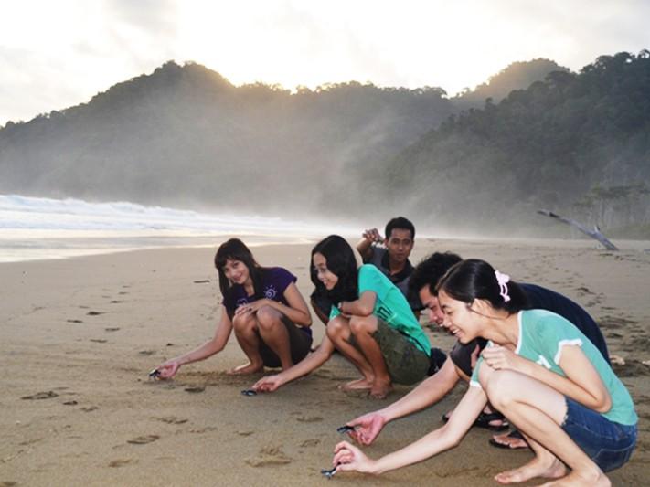 À BANYUWANGI ; 7 PLAGES CACHÉES FASCINANTES