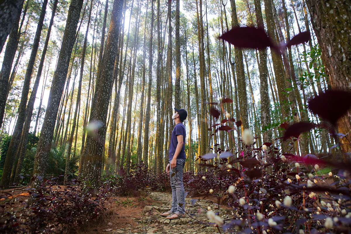 wisata di yogyakarta