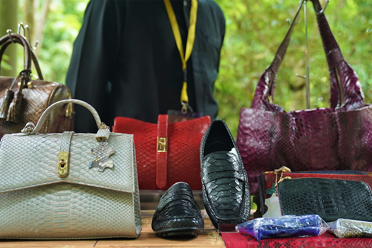 destinasi wisata banyuwangi