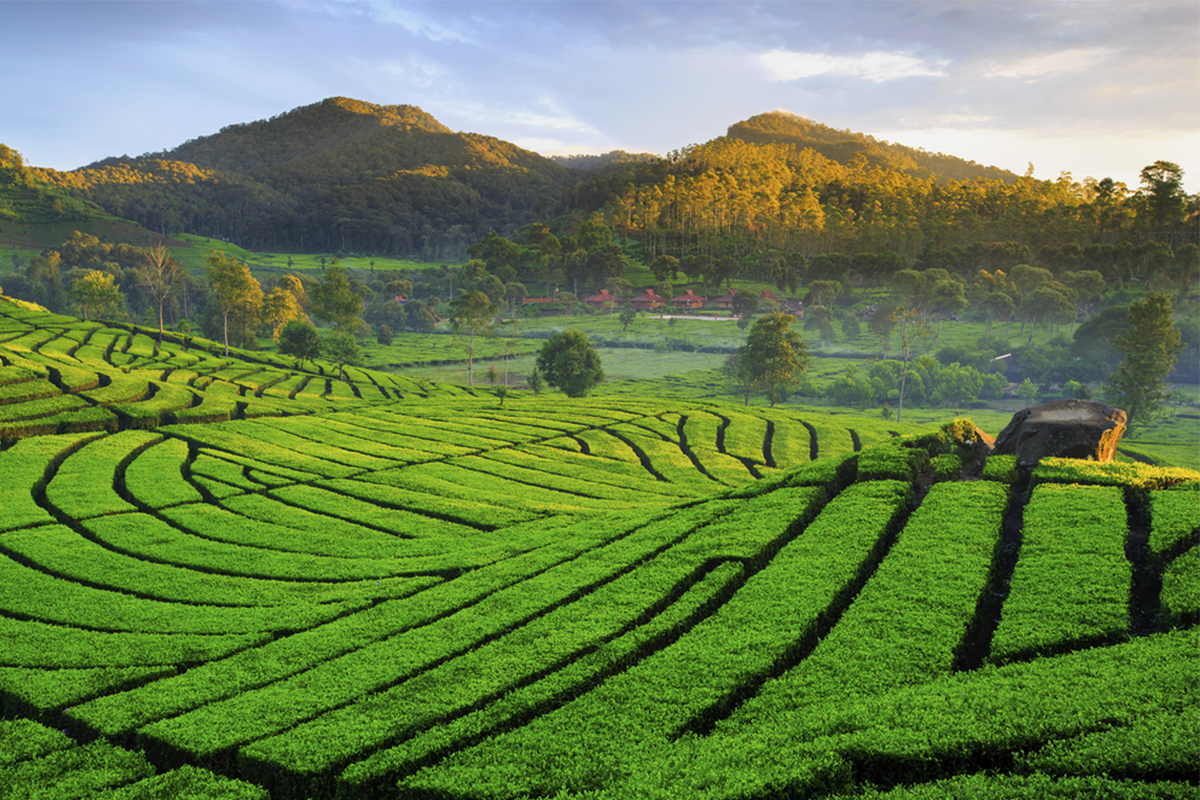 Mau ke Jawa Barat? Simak Protokol Kebersihan-Kesehatan-Keselamatan Terbaru