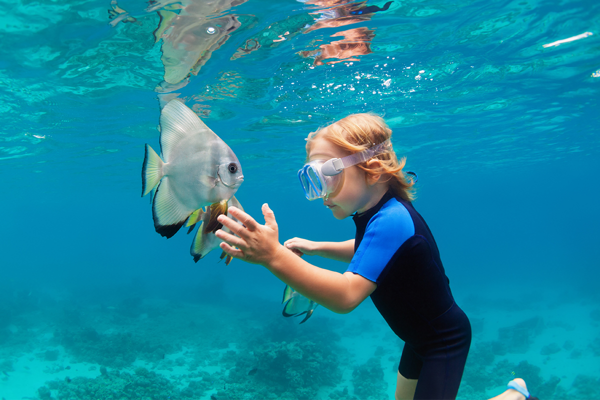 Menjangan Island in West Bali National Park