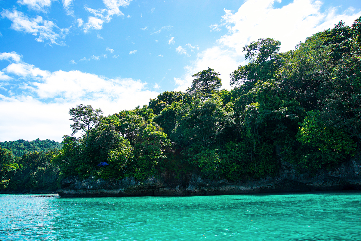 7 Secret Beaches in Banyuwangi That Will Leave You Awestruck