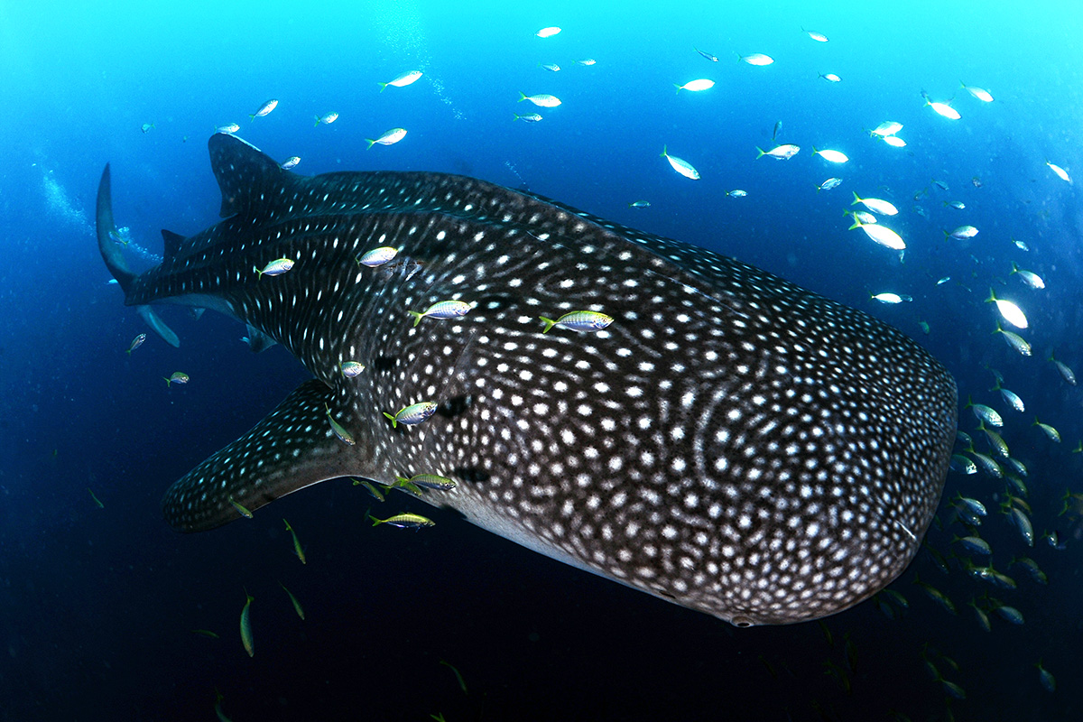 tempat wisata di tangerang