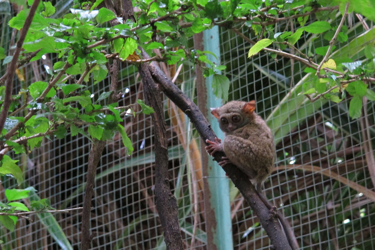 在万鸦老享受12种终身冒险活动