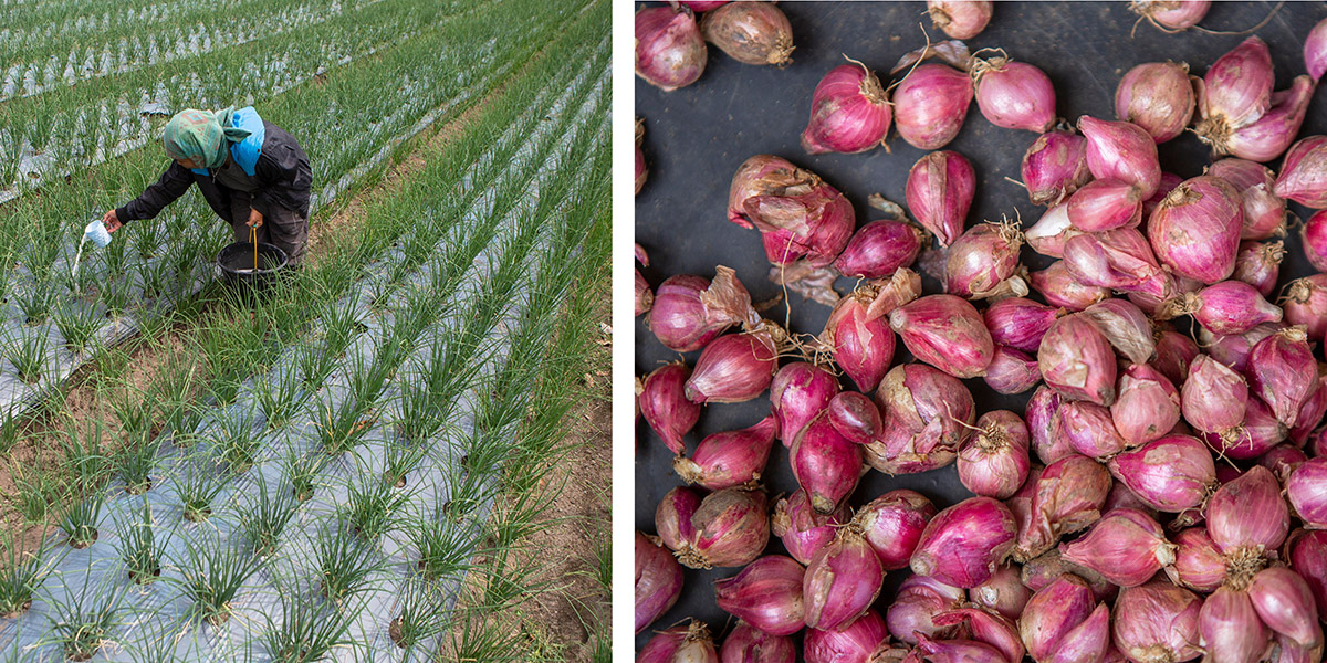 tempat wisata di tangerang