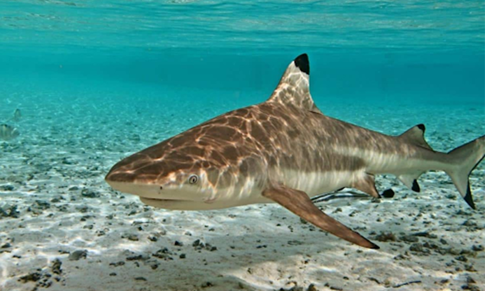 liburan ke labuan bao