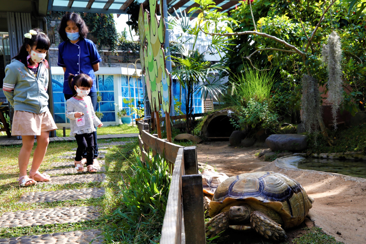 3 Spot Terbaik di Ciumbuleuit Bandung Ini Cocok untuk Quality Time