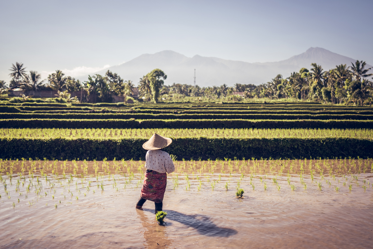 Destinasi wisata alam di Desa Wisata Tetebatu, NTB