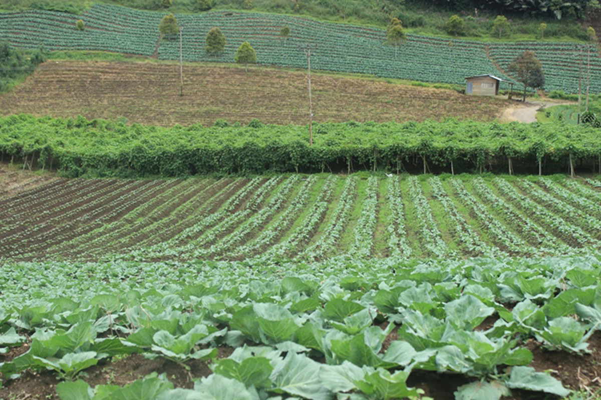 在万鸦老享受12种终身冒险活动