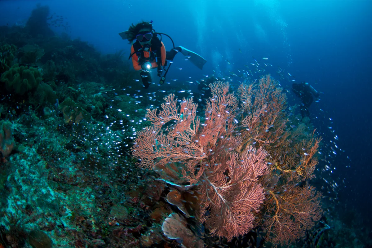 Raja Ampat