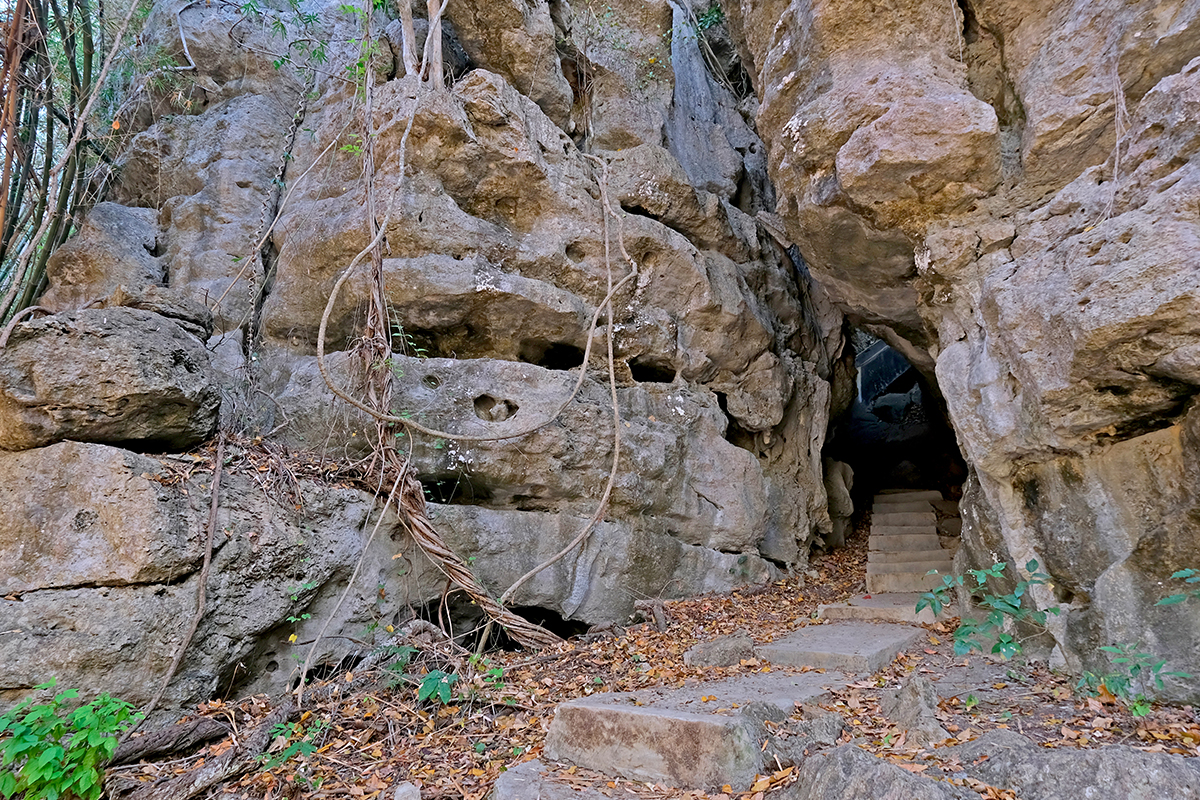 Try This 4D3N Perfect Getaway Plan Around Komodo National Park and Don't Miss the Wonders!