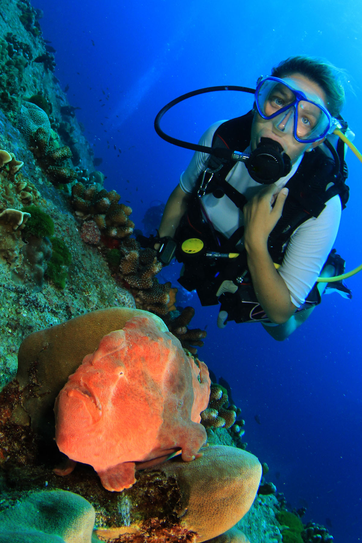 在万鸦老享受12种终身冒险活动
