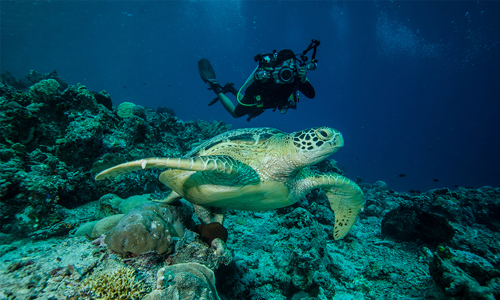 liburan ke labuan bao