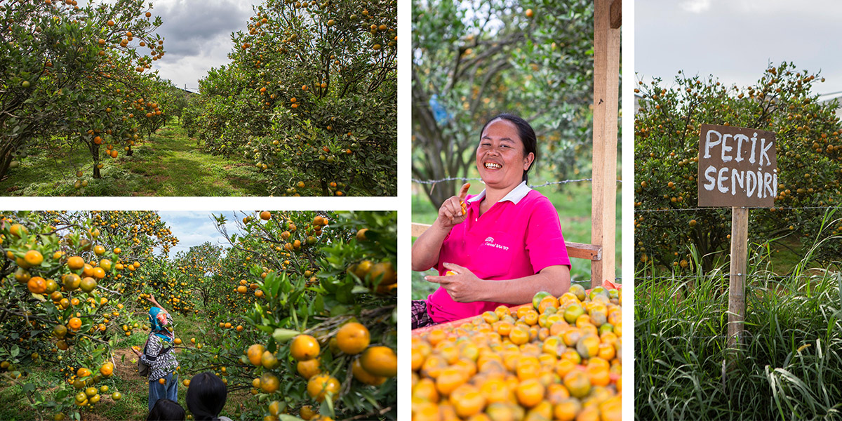 tempat wisata di tangerang
