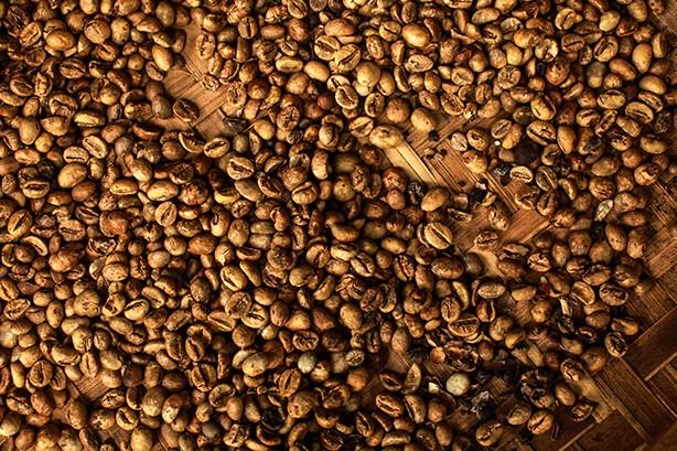 Indonesia&rsquo;s Bountiful Invigorating Coffee 