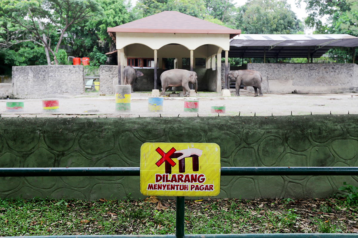 wisata di yogyakarta