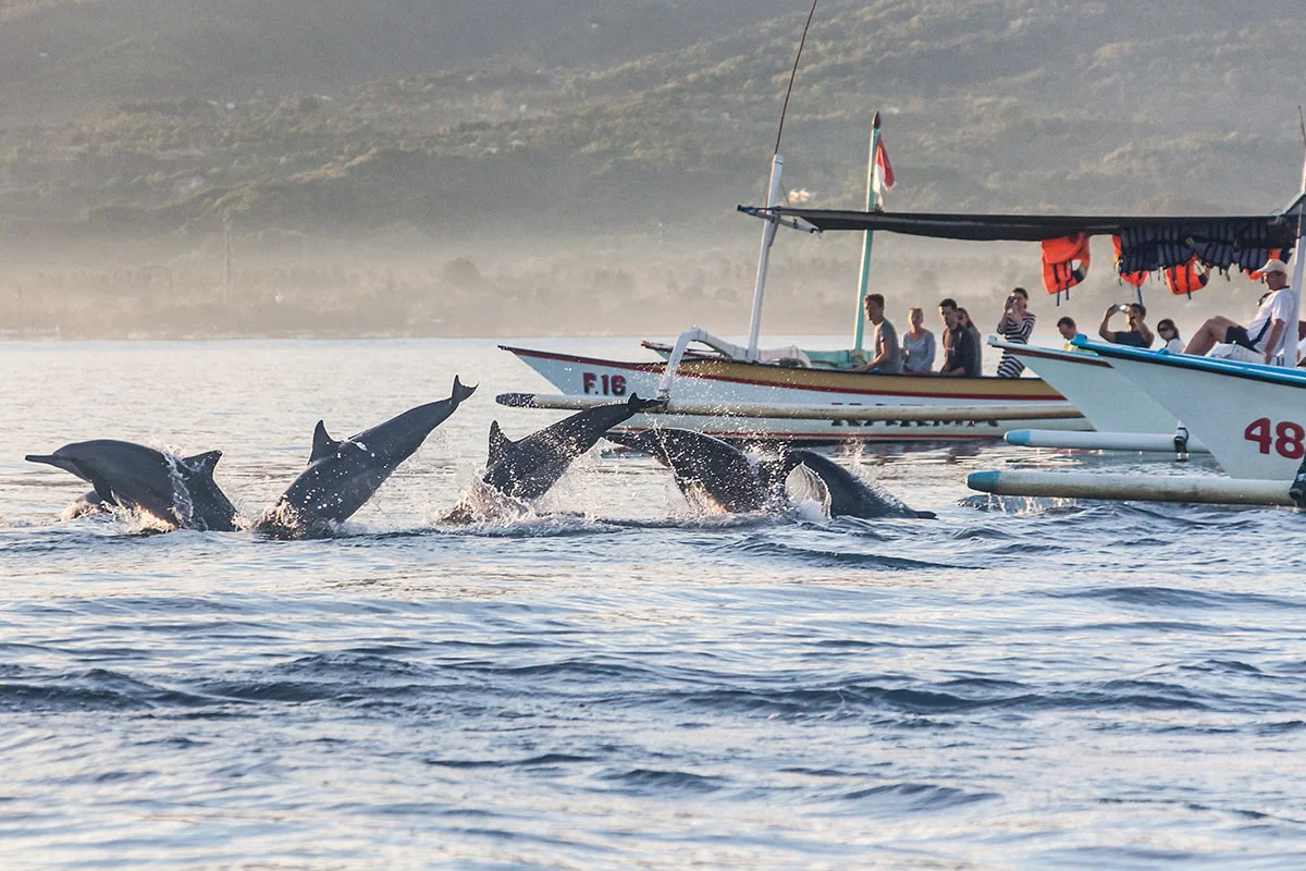 Lovina Beach: Playground of Bottle-Nosed Dolphins along North Bali's Coast