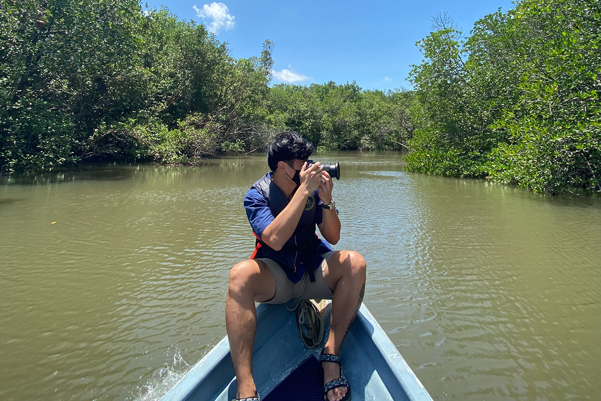 exploring the amazing mangrove forest in bintan