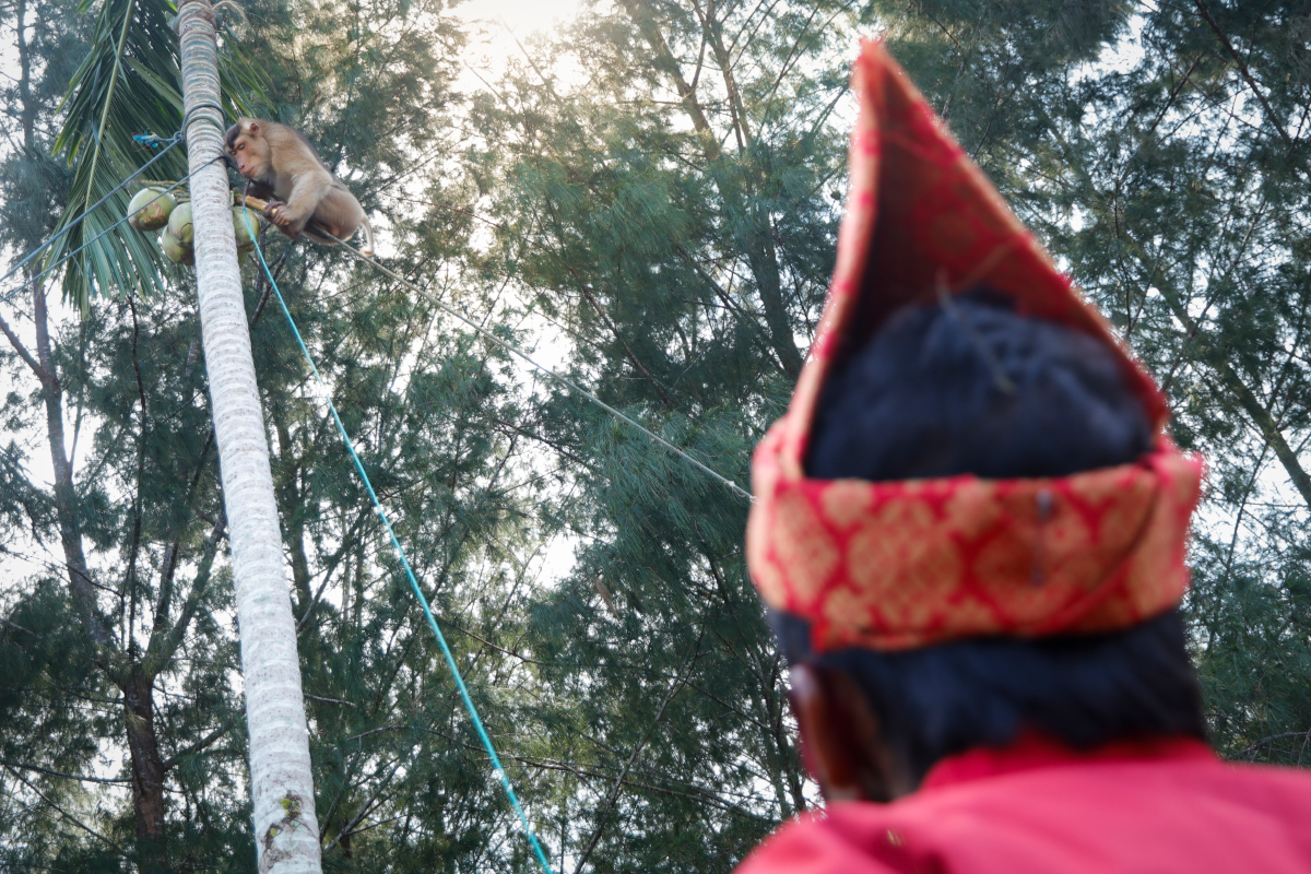4 Aktivitas Menarik Saat Menjelajahi Desa Wisata Apar Pariaman