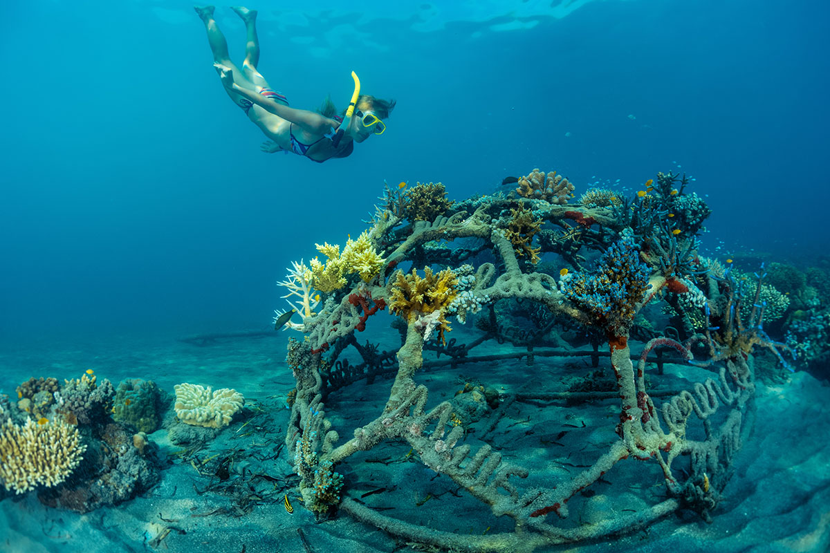 a person snorkeling near coral reefs