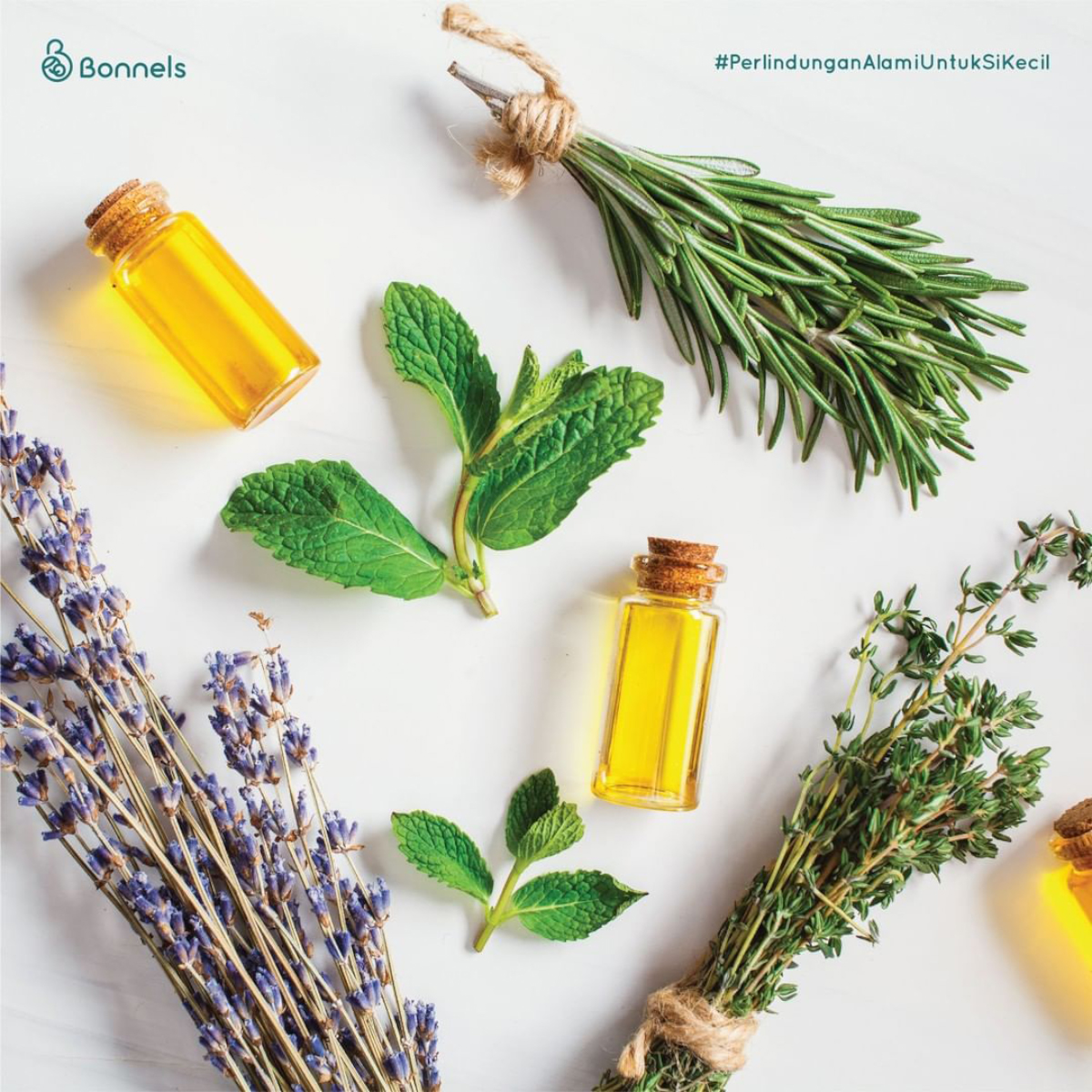 Essential oil anak berbahan alami dari Bonnels