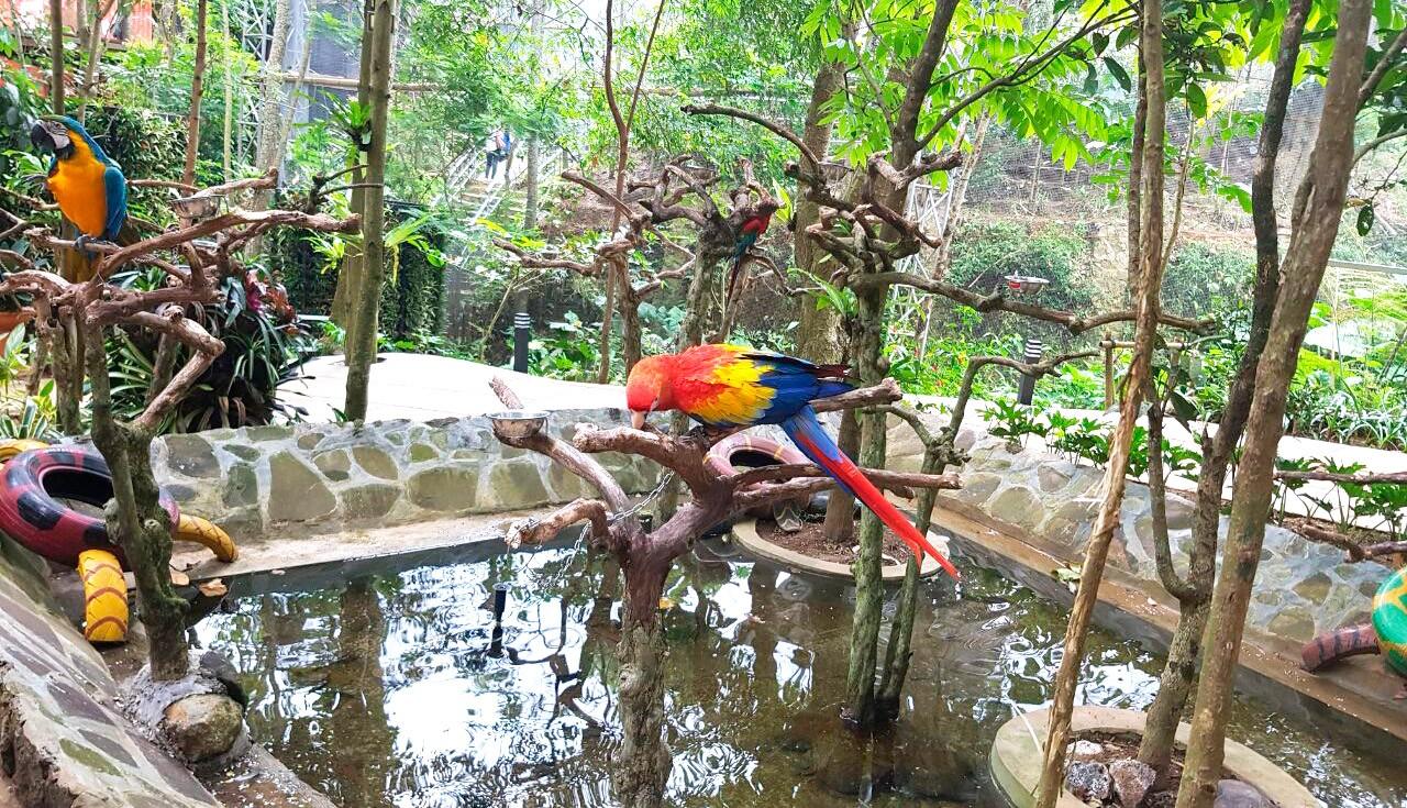 バンドンにある素敵で楽しさ満載な新しいファミリーパーク