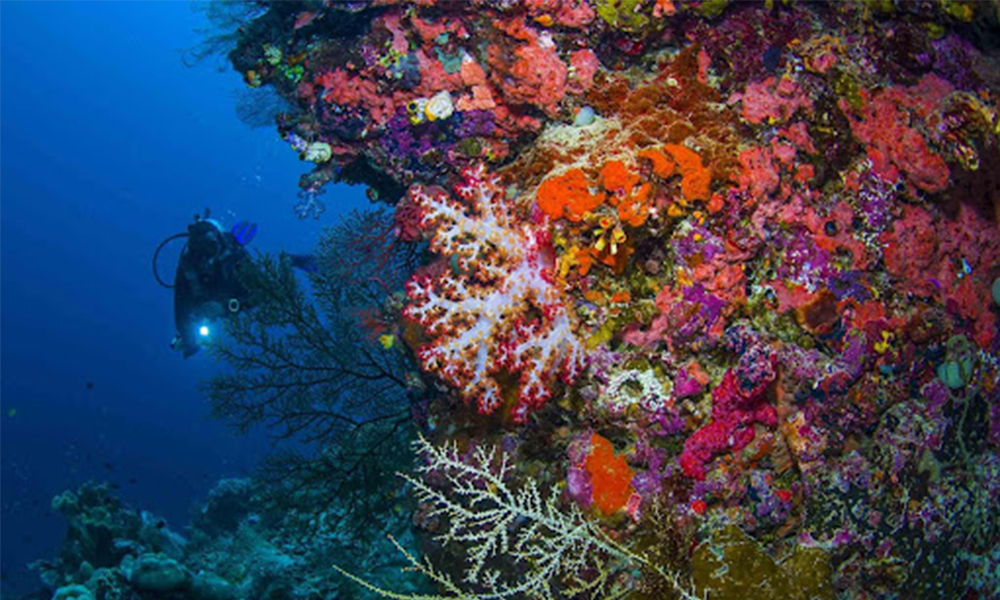 liburan ke labuan bao