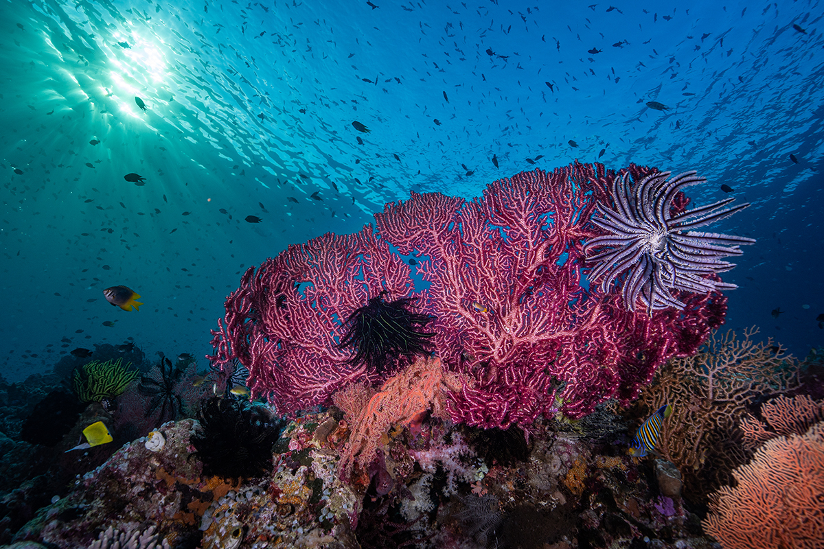 tempat wisata di tangerang