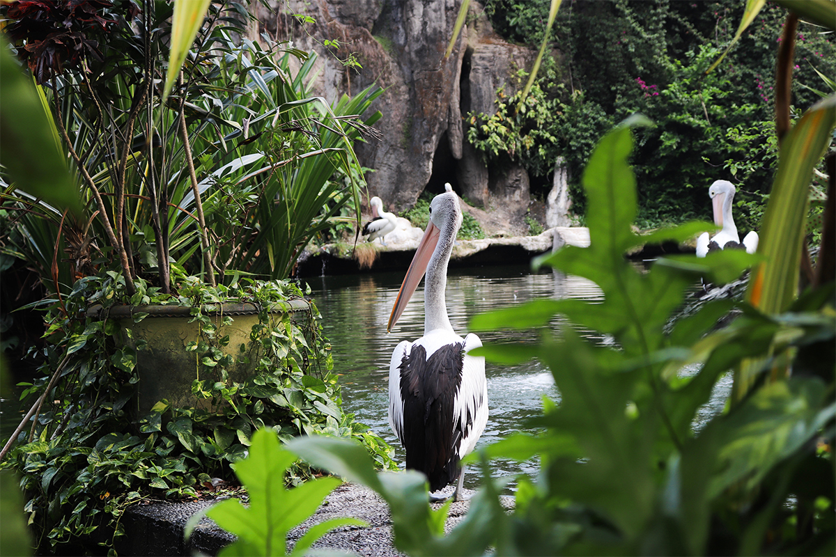 Sehat dan Hemat Rekreasi di Ruang Terbuka Hijau di Jakarta