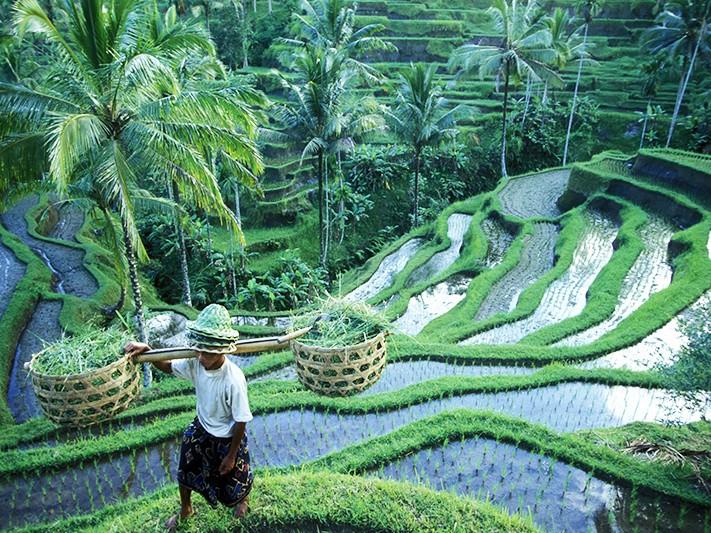 5 Reasons Travelers Love White Water Rafting at Ayung River in Ubud