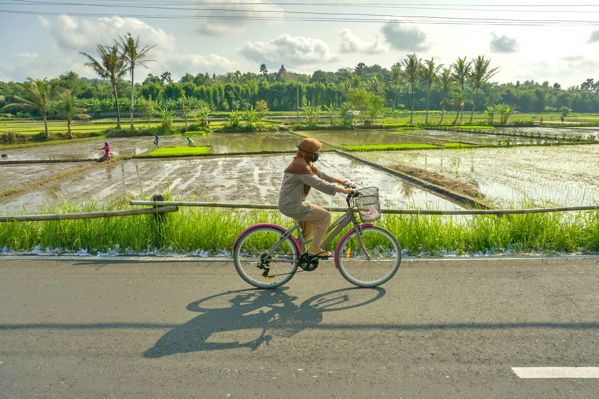 woman riding a bicycle