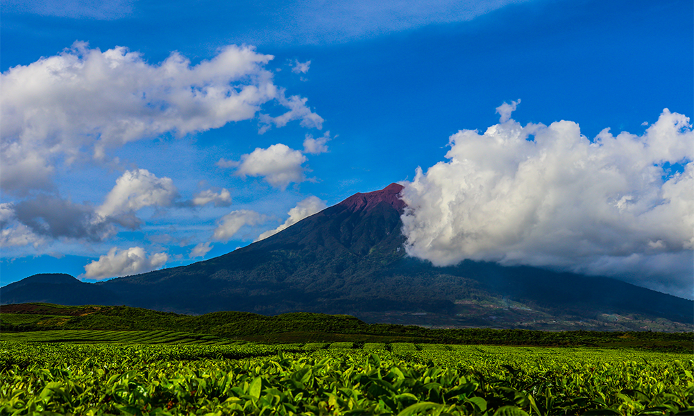 liburan ke labuan bao
