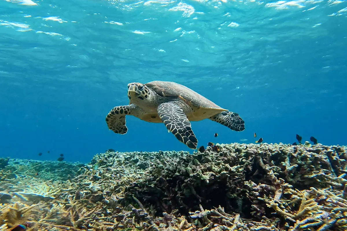 tempat wisata di tangerang