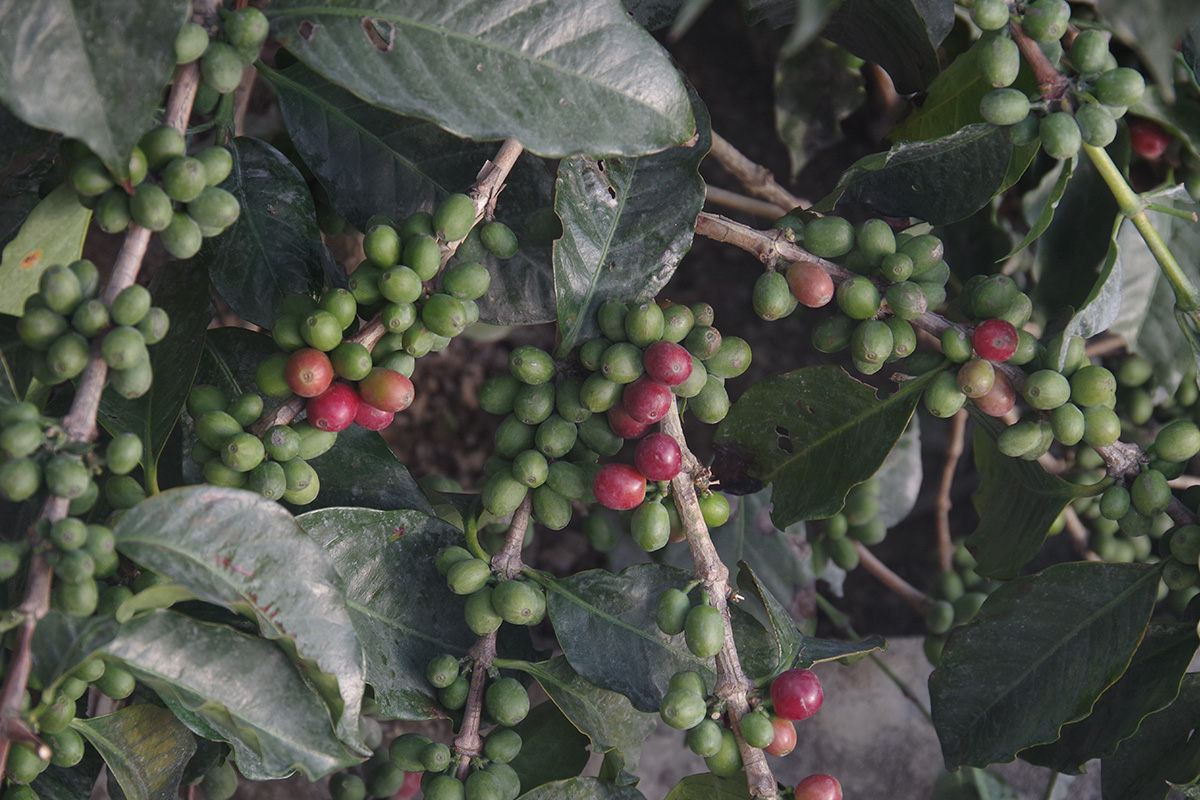 tempat wisata di tangerang
