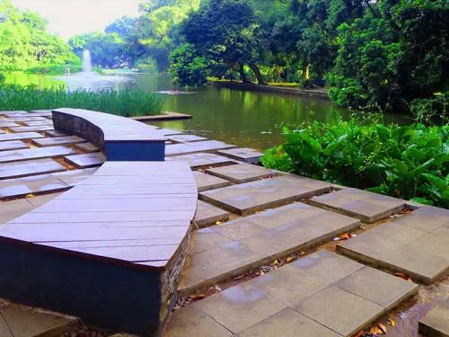 Savouring the Nature&rsquo;s Grandeur of Bogor Botanical Garden