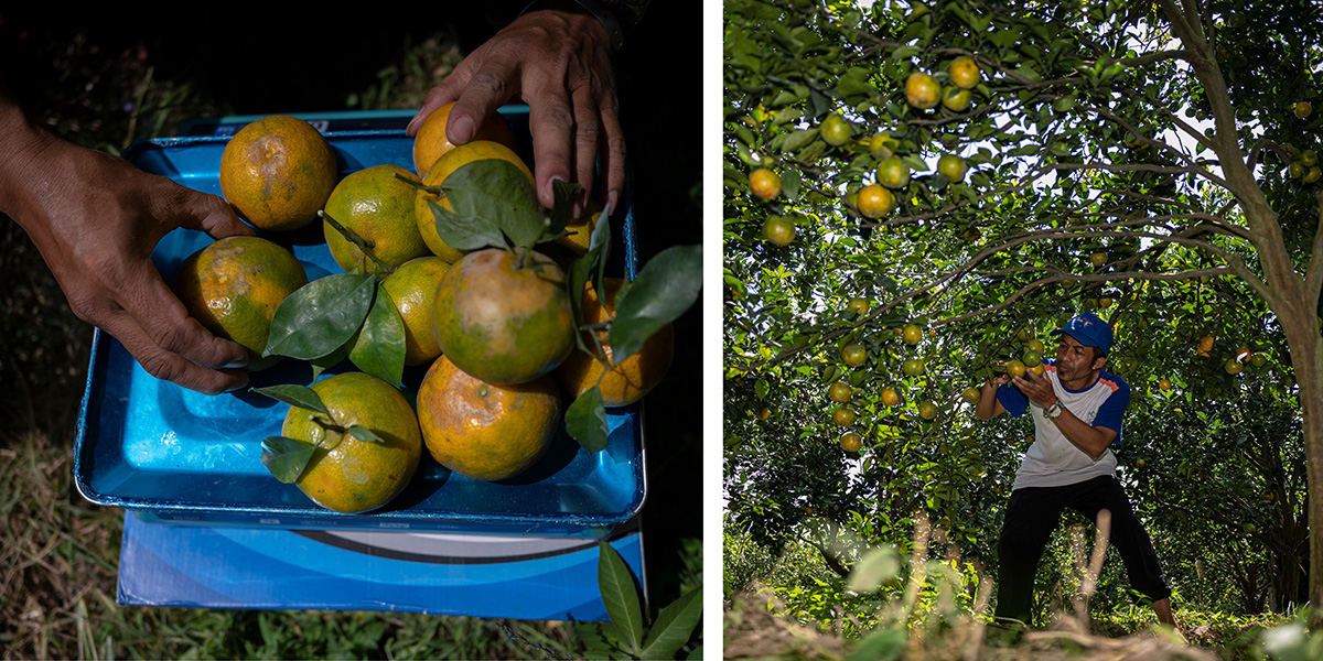 tempat wisata di tangerang