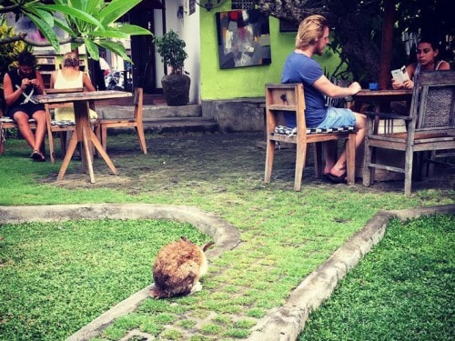 5 Unforgettable Restaurants in Bali for a Happy Family Vacation