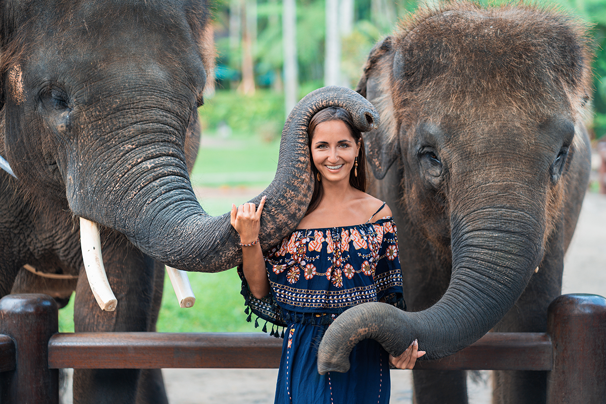 Wisata gajah Desa Wisata Carangsari Bali